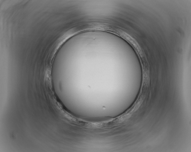 X0000112731481200908201002