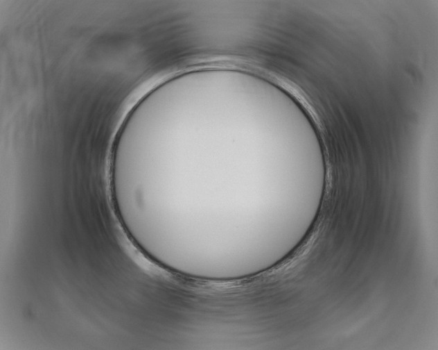 X0000112731482200908201002