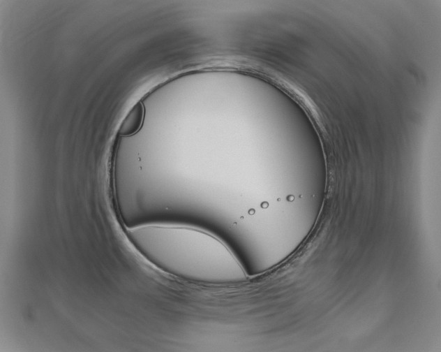 X0000112731483200908201002