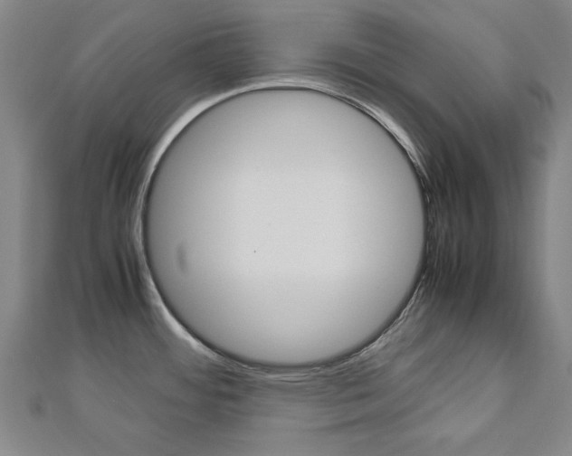 X0000112731484200908201002
