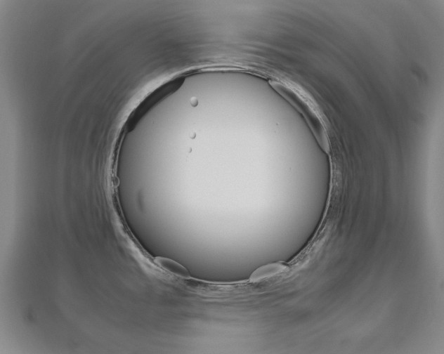 X0000112731485200908201002
