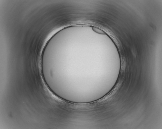 X0000112731486200908201002