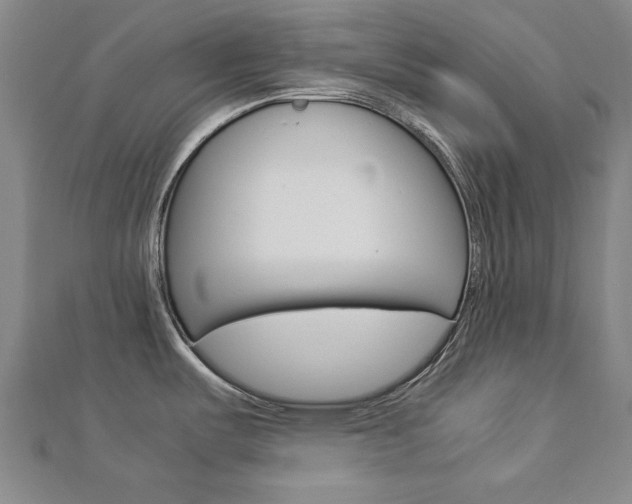 X0000112731487200908201002