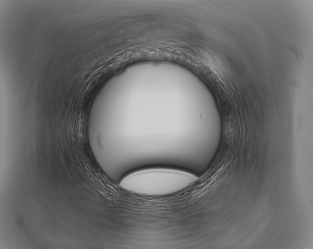 X0000112731490200908201001