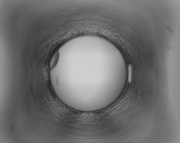 X0000112731491200908201001