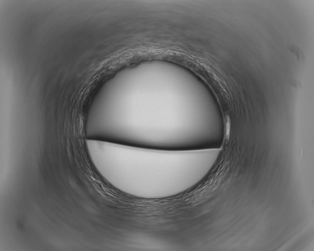 X0000112731492200908201001