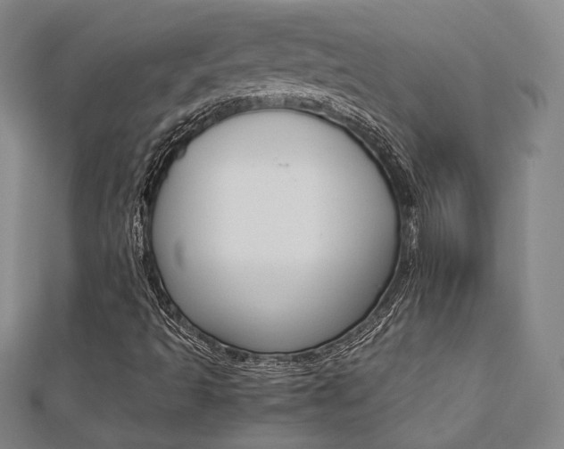X0000112731493200908201001