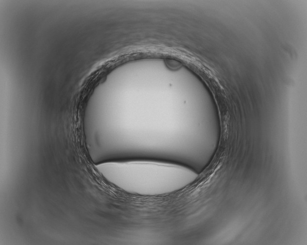 X0000112731494200908201001