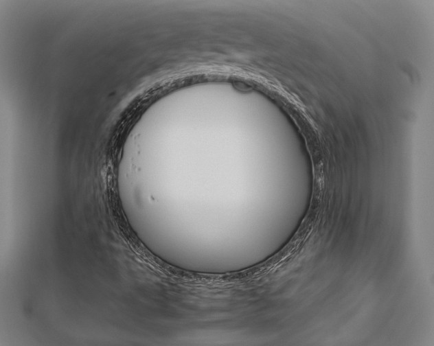 X0000112731495200908201001