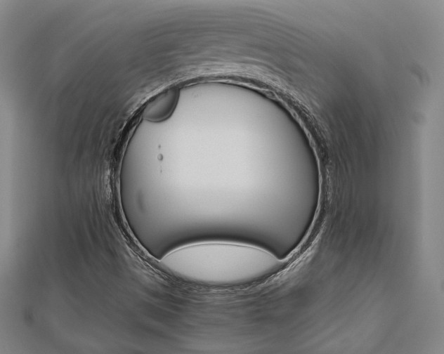 X0000112731497200908201001