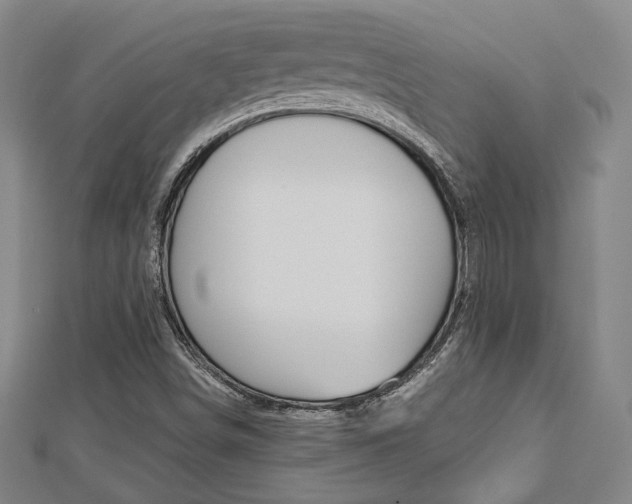X0000112731498200908201001