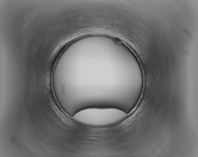 X0000112731499200908201001