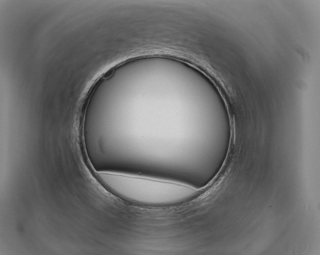 X0000112731500200908201001