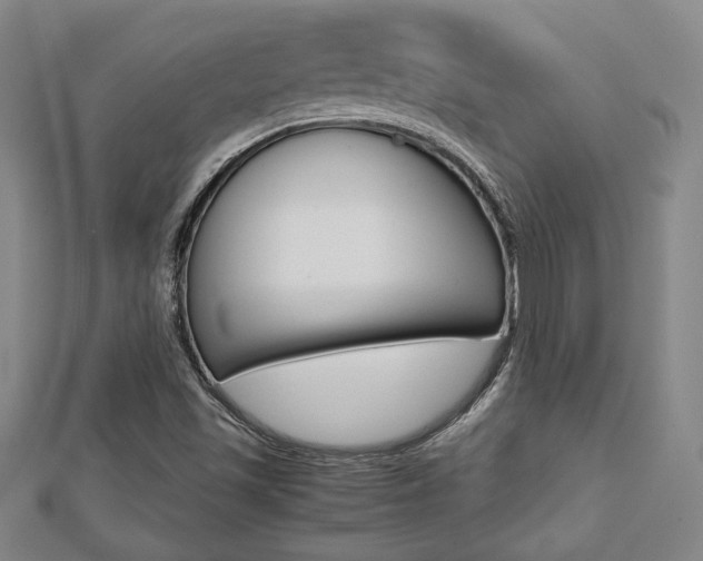 X0000112731501200908201001