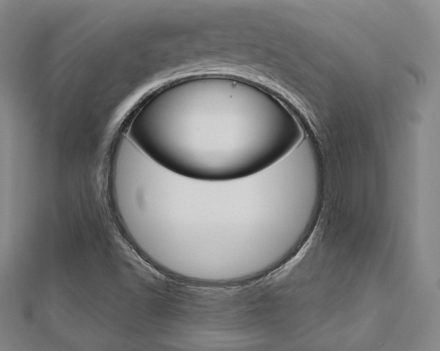 X0000112731502200908201001