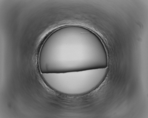 X0000112731503200908201002