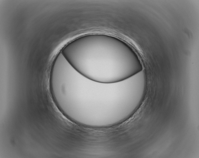 X0000112731504200908201002