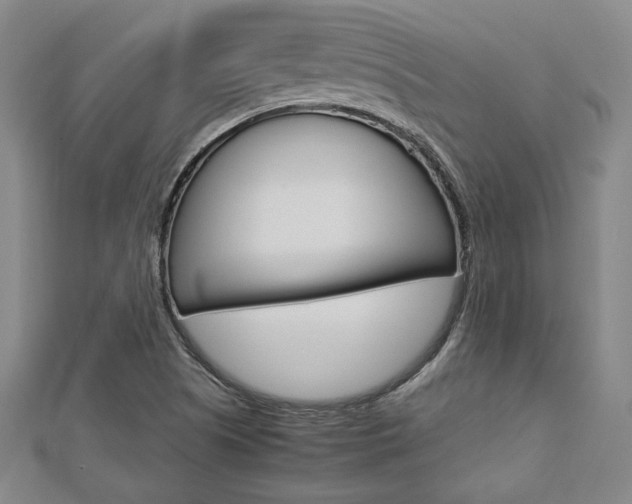 X0000112731505200908201002