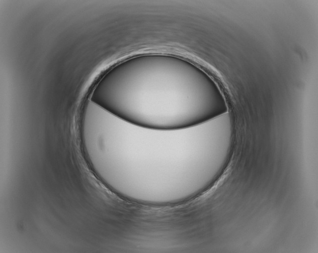 X0000112731506200908201002