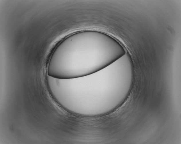 X0000112731507200908201002