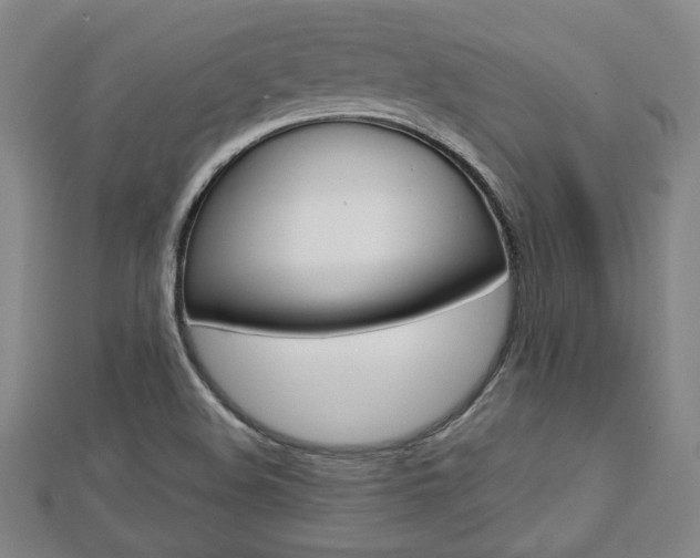 X0000112731508200908201002