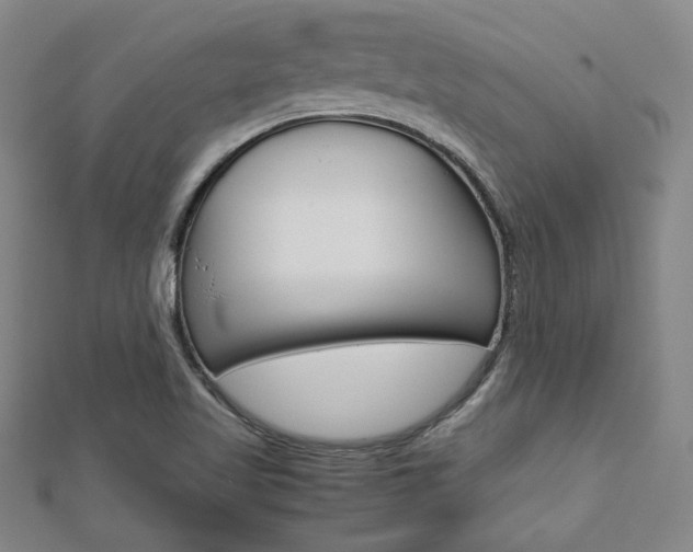 X0000112731509200908201002