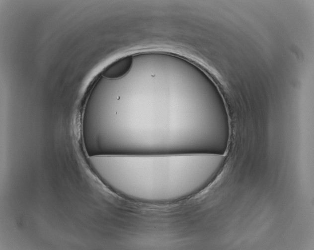 X0000112731510200908201002