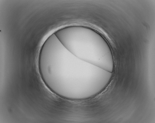 X0000112731512200908201002