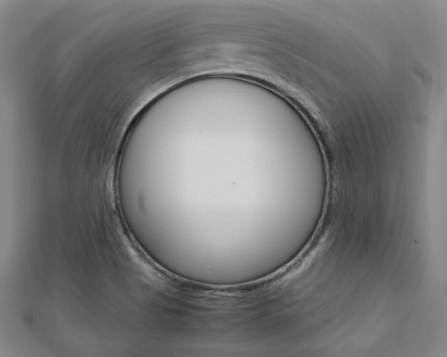 X0000112731513200908201002