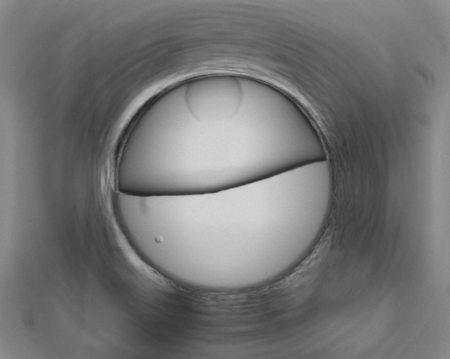 X0000112731515200908201002