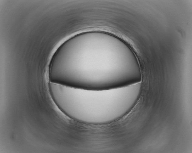 X0000112731516200908201002