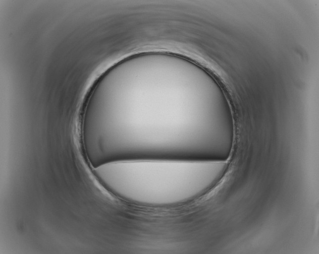 X0000112731517200908201002
