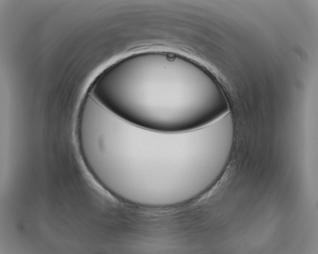 X0000112731518200908201002