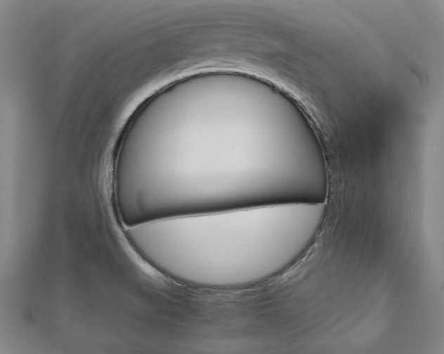 X0000112731519200908201002