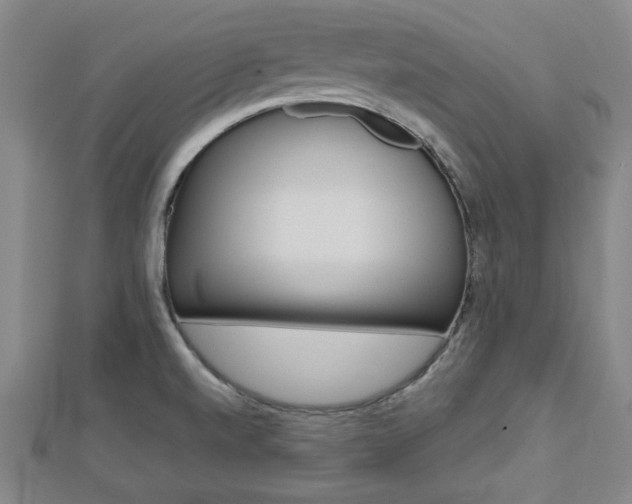 X0000112731520200908201002