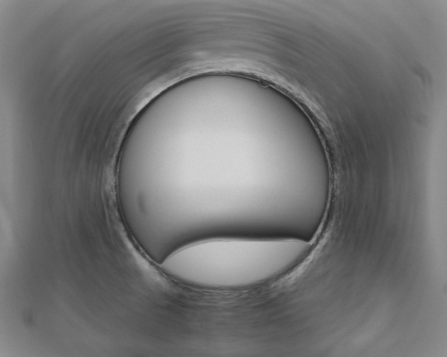 X0000112731521200908201002