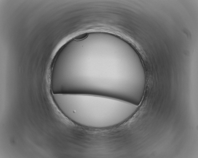 X0000112731522200908201002