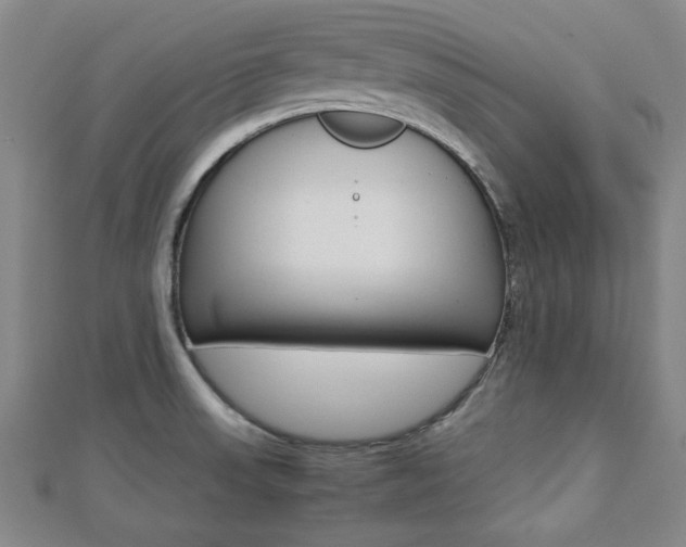 X0000112731523200908201002