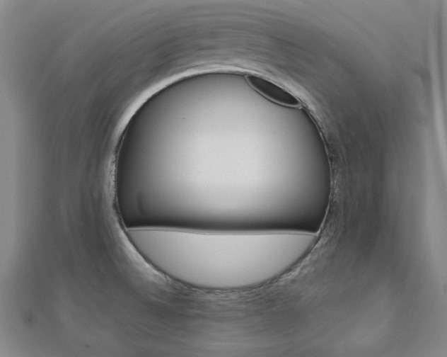X0000112731524200908201002