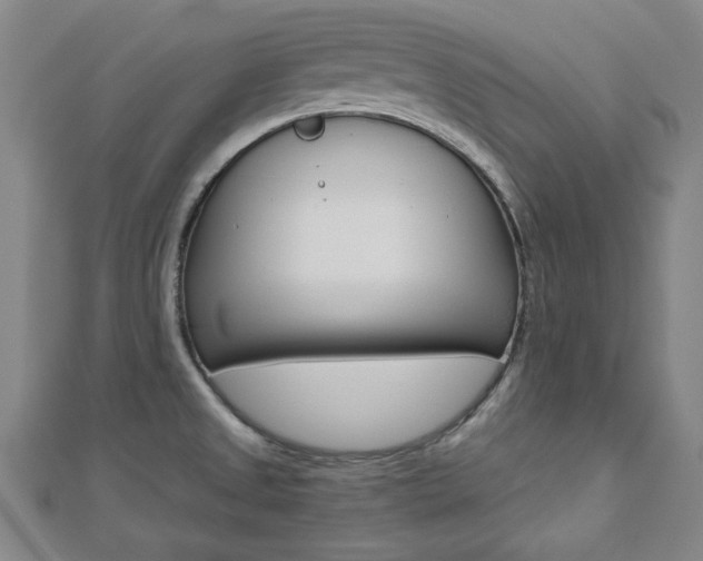 X0000112731525200908201002