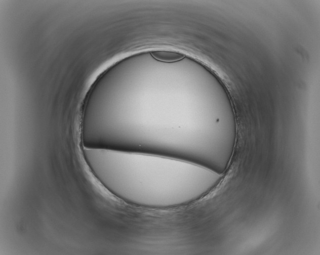 X0000112731526200908201002