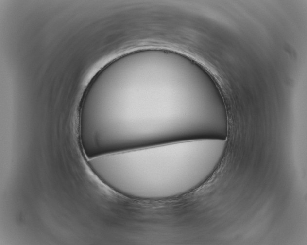 X0000112731527200908201002