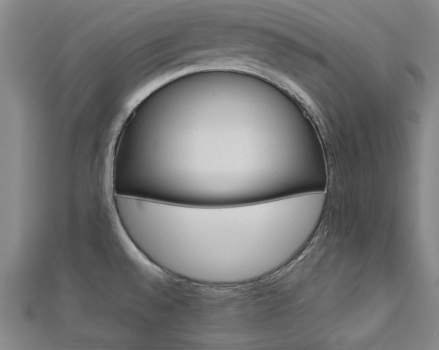 X0000112731528200908201002