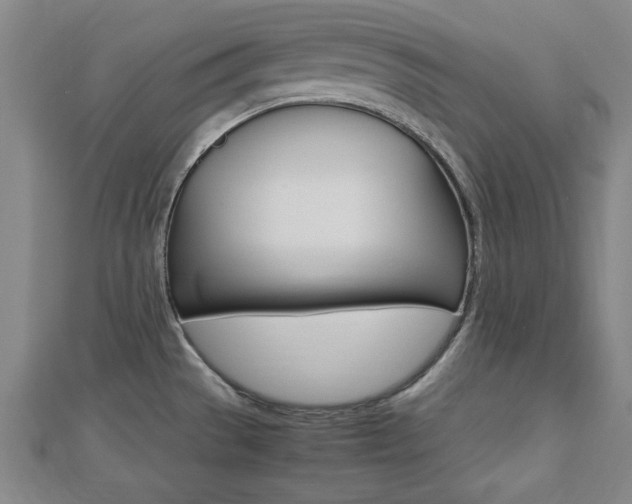 X0000112731529200908201002