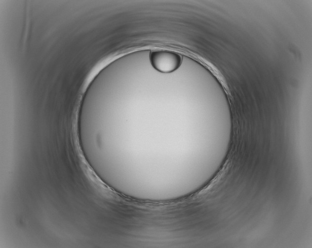 X0000112731530200908201002