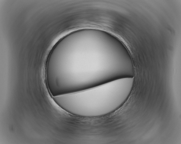 X0000112731531200908201002