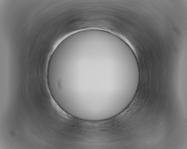 X0000112731532200908201002