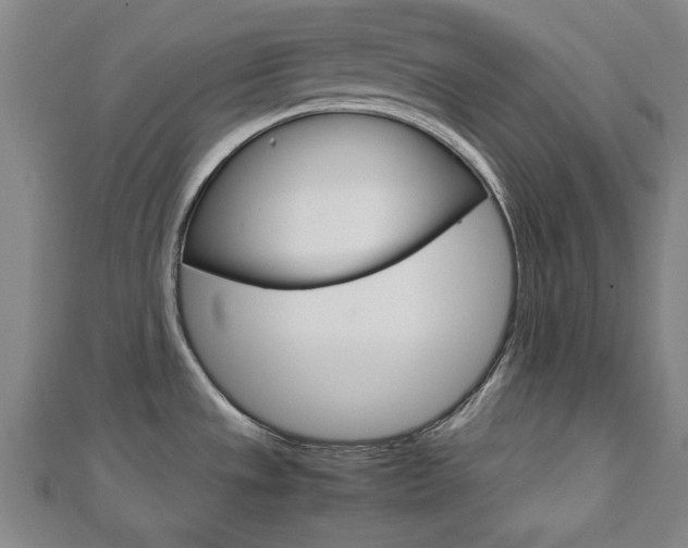 X0000112731533200908201002