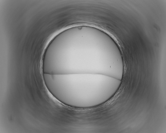 X0000112731535200908201002