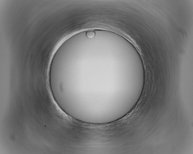 X0000112731536200908201002